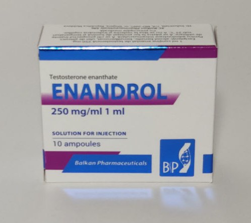 Testosterona E (10 amp x 250 mg/ml )